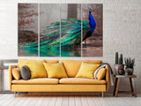 Peacock wall art paintings on canvas, tropical wall art, bird wall art home wall decor canvas painting bright wall art extra large wall art