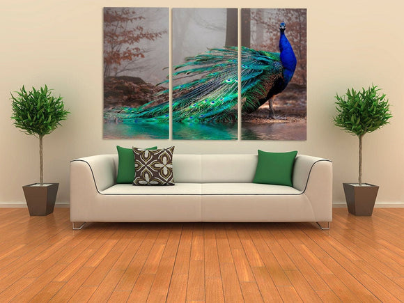 Peacock wall art paintings on canvas, tropical wall art, bird wall art home wall decor canvas painting bright wall art extra large wall art