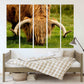 Bull Print Home Wall Decor Bedroom Animal Painting Wild Animal For Bedroom Living Room Kitchen Wall Art