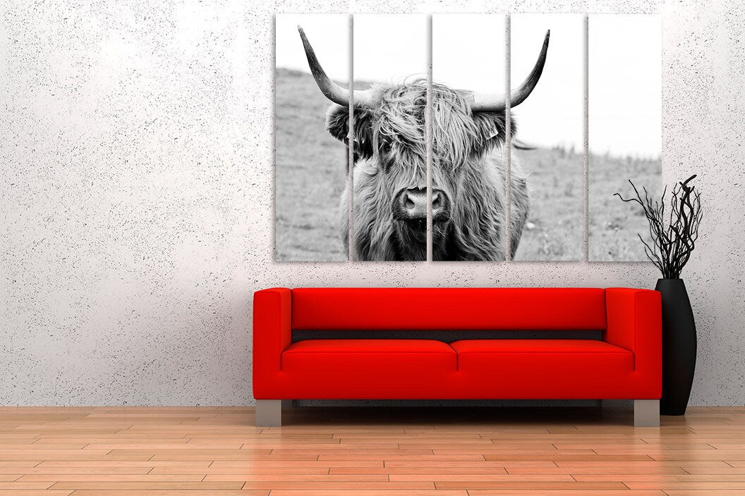 Cattle wall art Rustic canvas print highland cow print scottish cow art farmhouse wall decor animals canvas painting black and white art