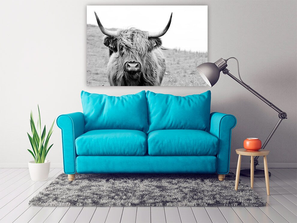 Cattle wall art Rustic canvas print highland cow print scottish cow art farmhouse wall decor animals canvas painting black and white art