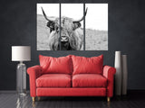 Cattle wall art Rustic canvas print highland cow print scottish cow art farmhouse wall decor animals canvas painting black and white art
