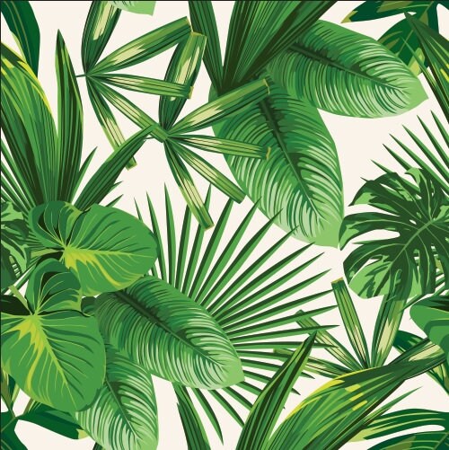 Banana leaves decor wallpaper Tropical wallpaper Leaf Removable wallpaper vinyl wallpaper modern wallpaper banana leaves print