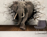 Elephant 3d wallpaper peel and stick wall mural, modern nursery wallpaper animals, removable wallpaper, canvas wallpaper, vinyl wallpaper